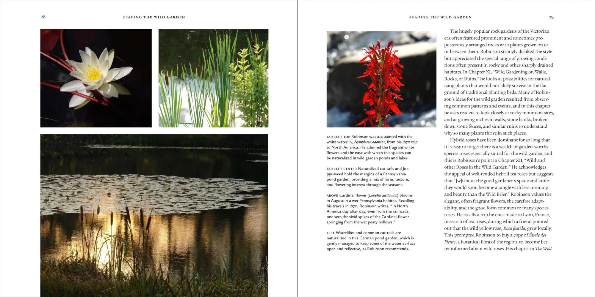 Bild: 9780881929553 | The Wild Garden | William Robinson | Buch | Gebunden | Englisch | 2009