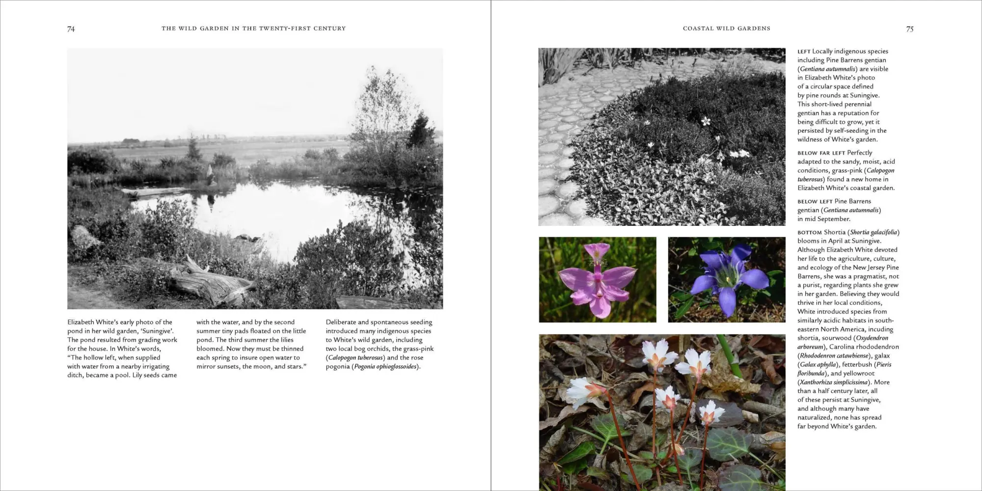 Bild: 9780881929553 | The Wild Garden | William Robinson | Buch | Gebunden | Englisch | 2009