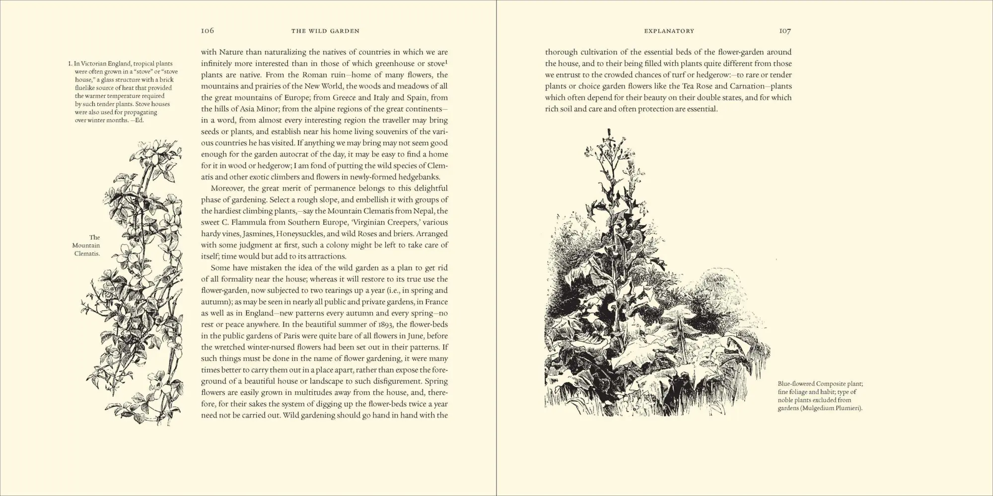 Bild: 9780881929553 | The Wild Garden | William Robinson | Buch | Gebunden | Englisch | 2009