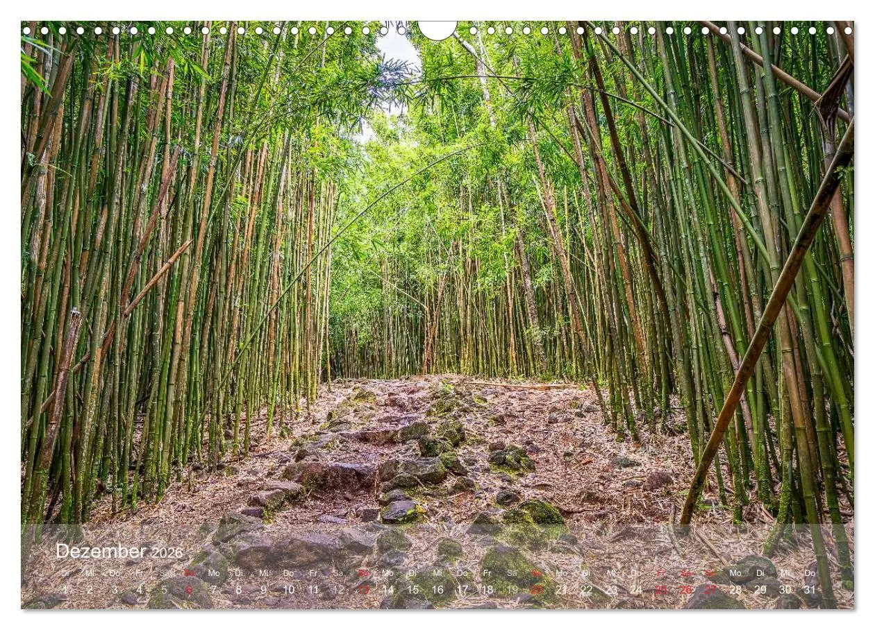 Bild: 9783457909553 | Hawaii - Maui Trauminsel im Pazifik (Wandkalender 2026 DIN A3...