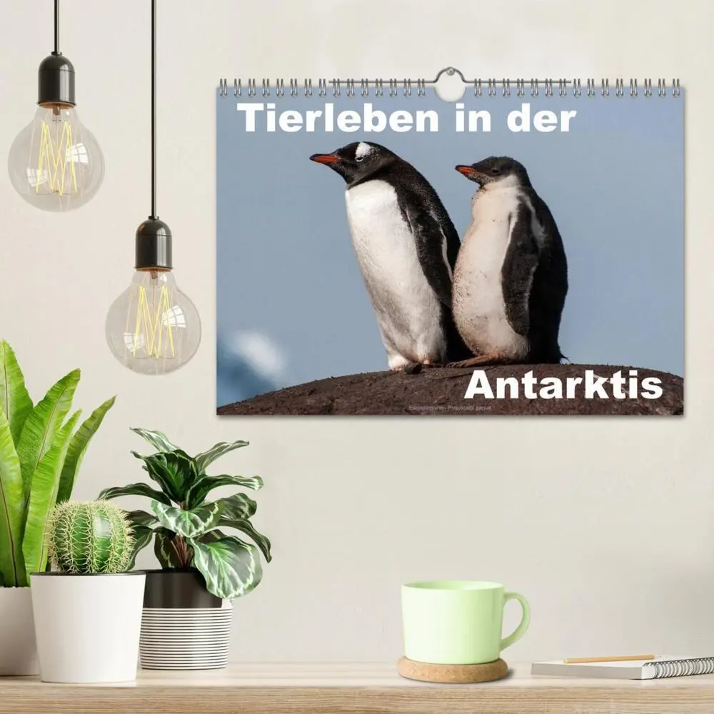 Bild: 9783516159653 | Tierleben in der Antarktis (Wandkalender 2026 DIN A4 quer),...