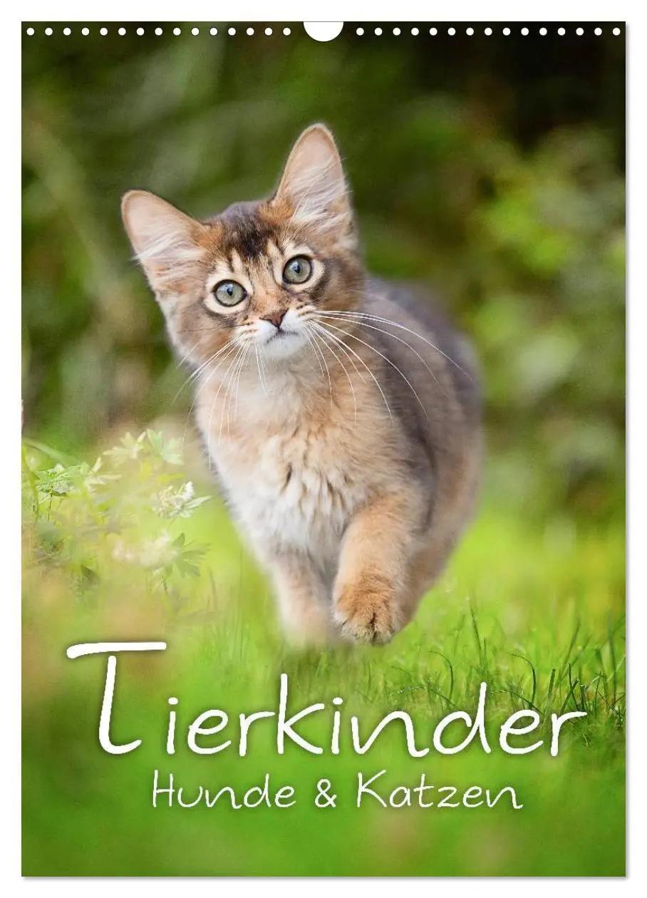 Cover: 9783516469653 | Tierkinder Hunde und Katzen (Wandkalender 2026 DIN A3 hoch),...