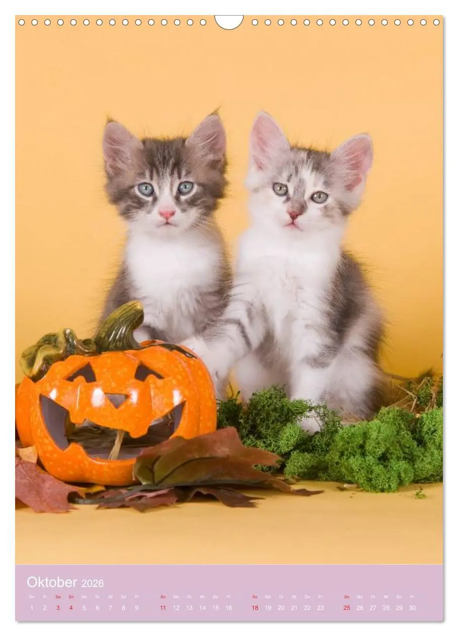Bild: 9783516469653 | Tierkinder Hunde und Katzen (Wandkalender 2026 DIN A3 hoch),...