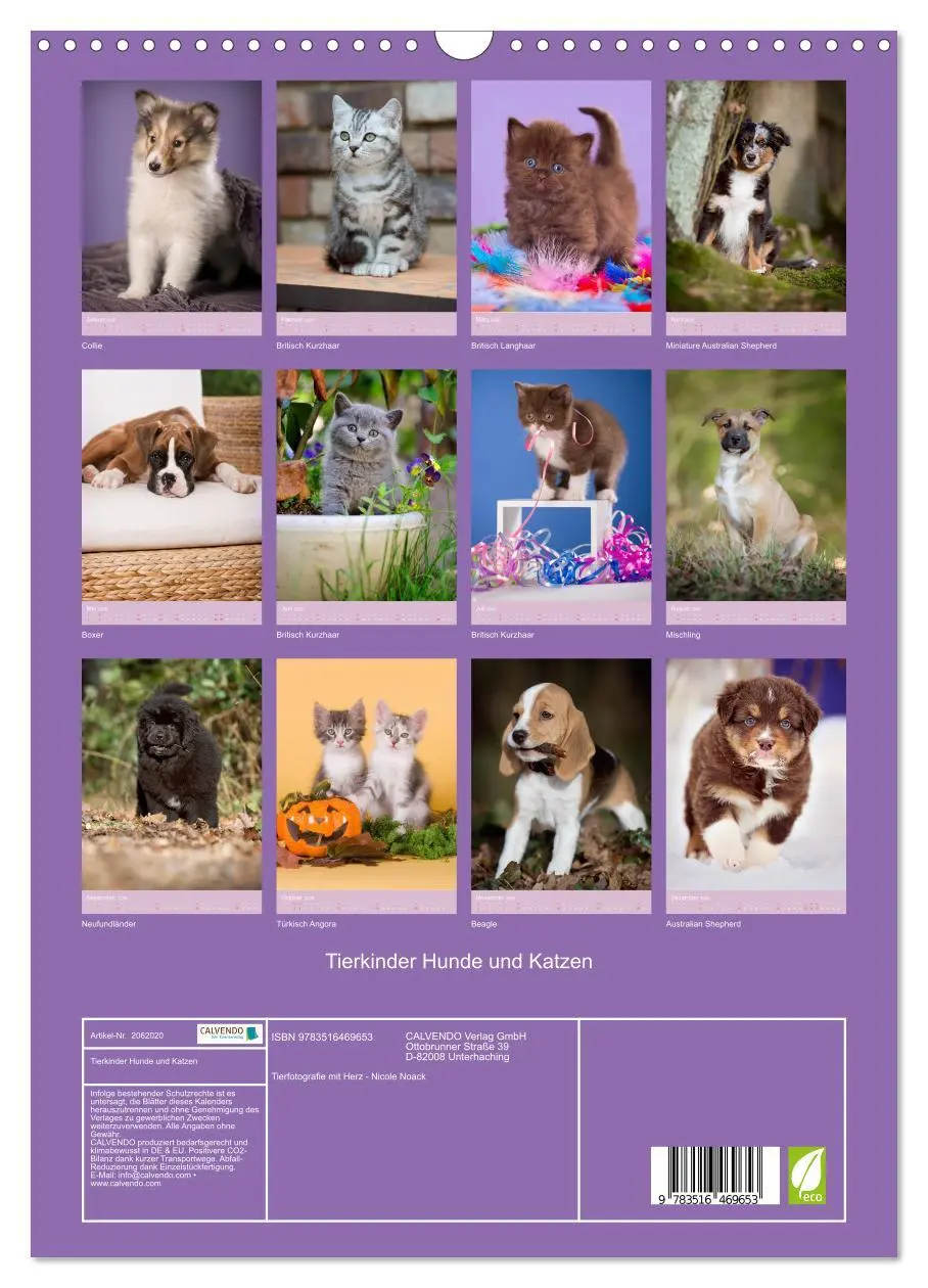 Bild: 9783516469653 | Tierkinder Hunde und Katzen (Wandkalender 2026 DIN A3 hoch),...