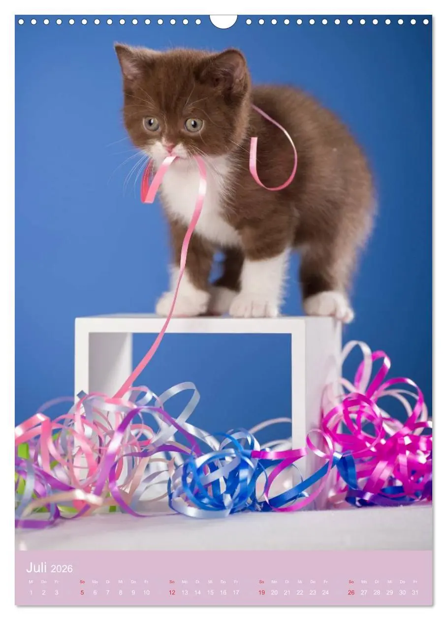 Bild: 9783516469653 | Tierkinder Hunde und Katzen (Wandkalender 2026 DIN A3 hoch),...