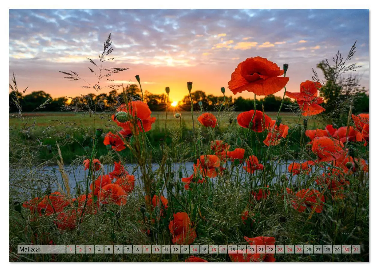 Bild: 9783516609653 | 725 Jahre Börnicke (Tischkalender 2026 DIN A5 quer), CALVENDO...