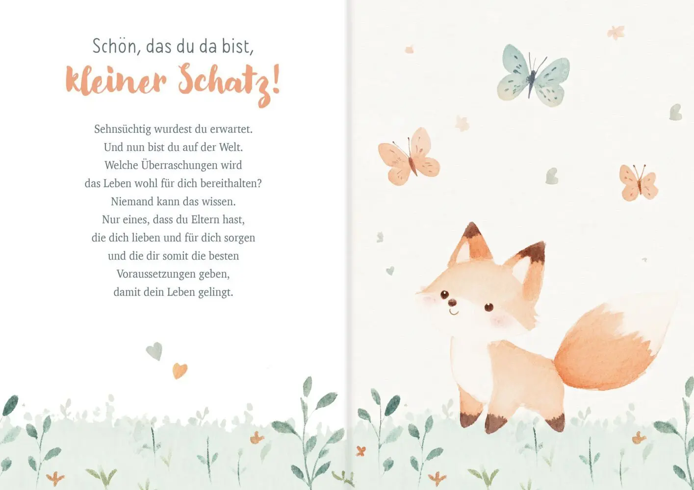 Bild: 9783766639653 | Schön, dass du da bist | Zur Geburt | Petra Kummermehr | Broschüre