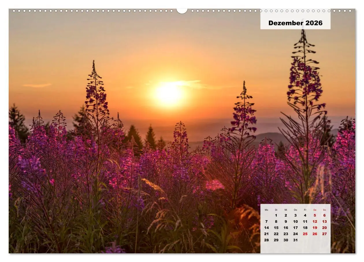 Bild: 9783457819753 | Rhöner Röschen - ein Sommermärchen in der Hochrhön (Wandkalender...