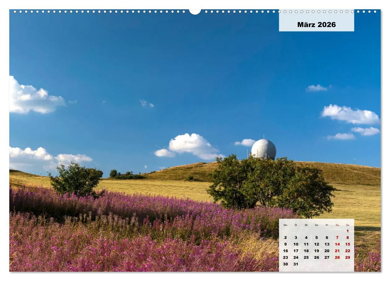 Bild: 9783457819753 | Rhöner Röschen - ein Sommermärchen in der Hochrhön (Wandkalender...