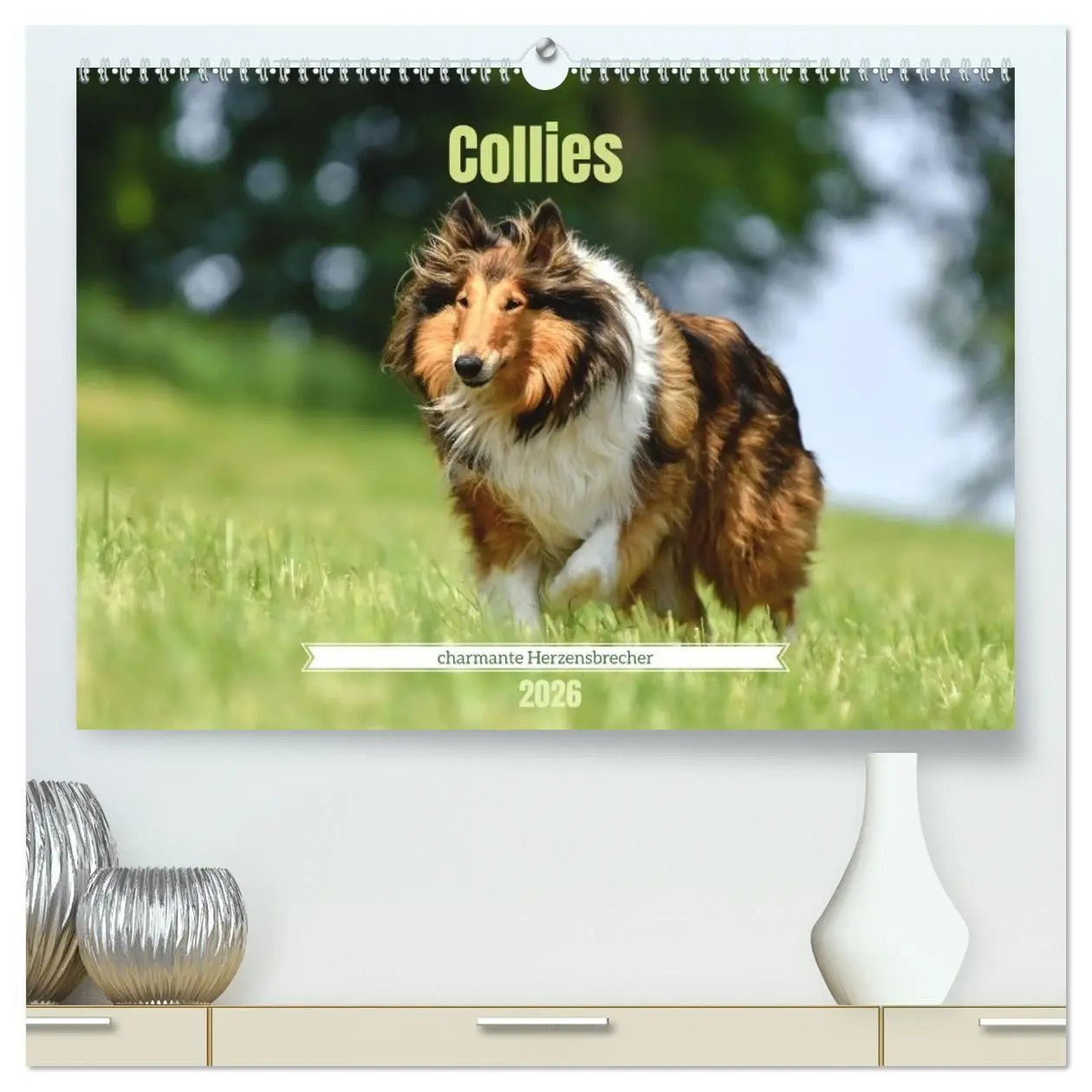 Cover: 9783516699753 | Collies - charmante Herzensbrecher (hochwertiger Premium...