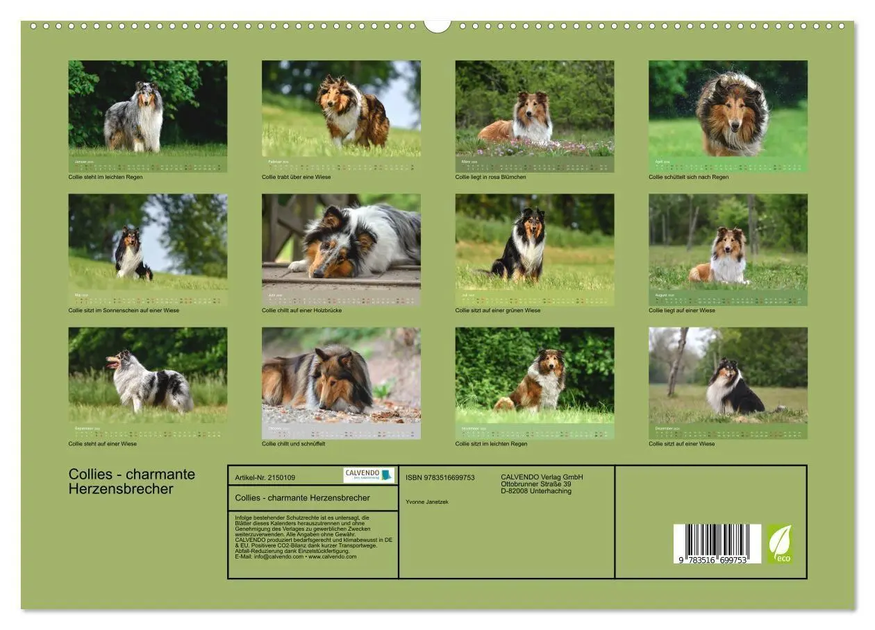 Bild: 9783516699753 | Collies - charmante Herzensbrecher (hochwertiger Premium...