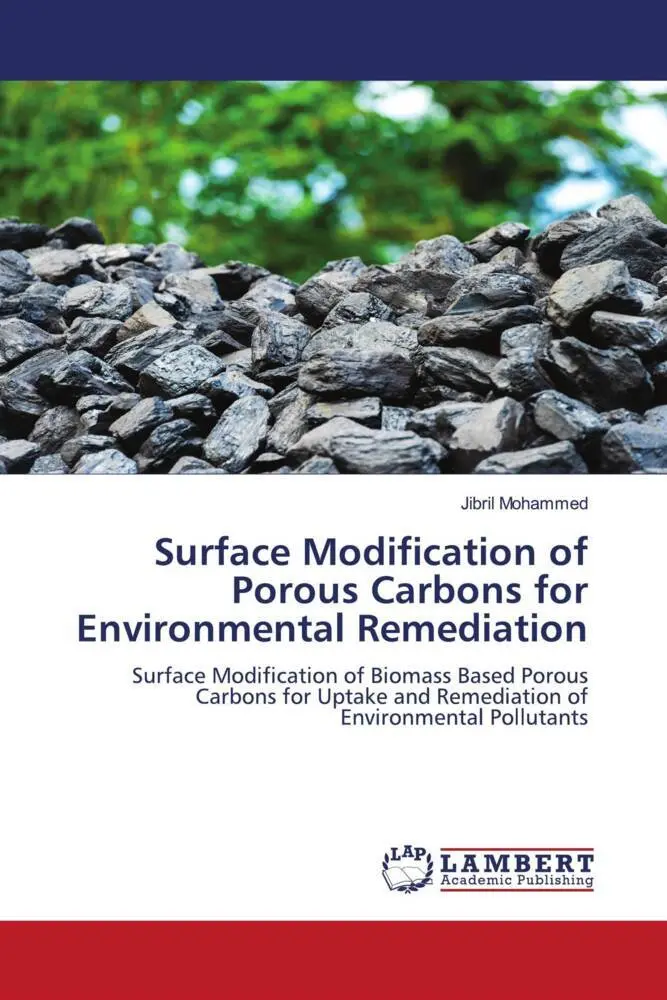 Cover: 9786206739753 | Surface Modification of Porous Carbons for Environmental Remediation