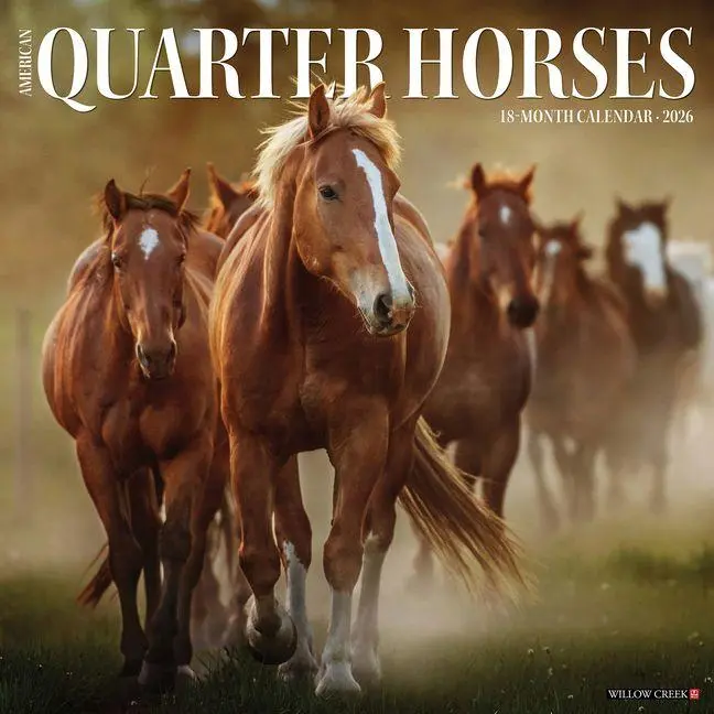 Cover: 9781549249853 | American Quarter Horses 2026 Wall Calendar | Willow Creek Press | 2026