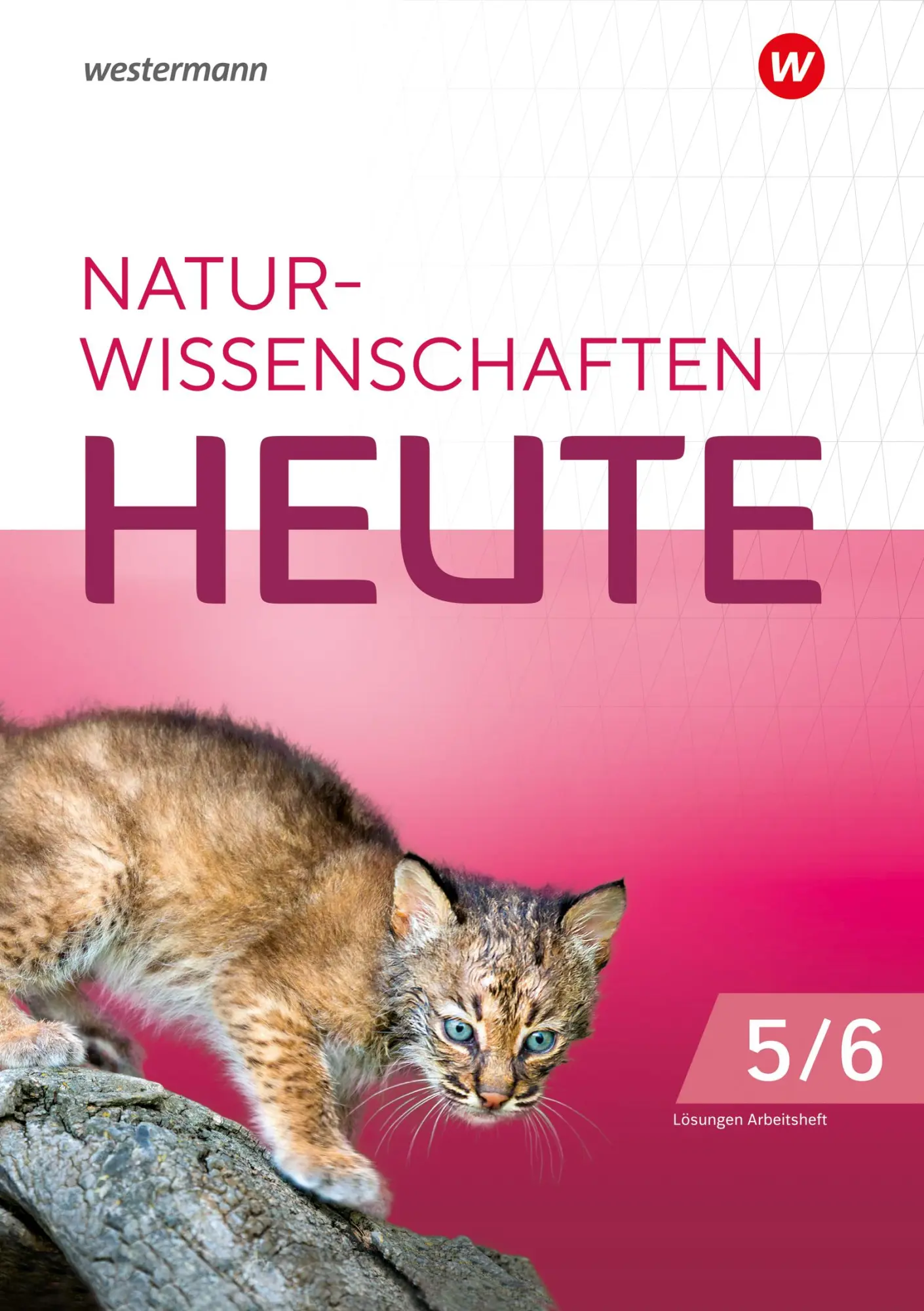 Cover: 9783141519853 | Biologie heute 5/6. Lösungen zum Arbeitsheft. Für die die...