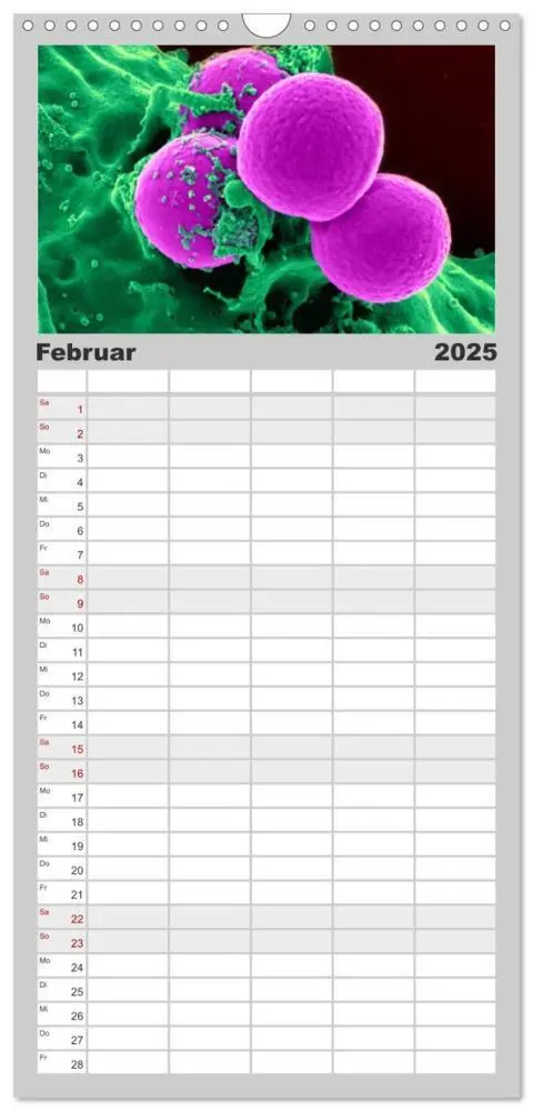 Bild: 9783457119853 | Familienplaner 2025 - Mikrobiologie. Mikroorganismen und Zellen mit...
