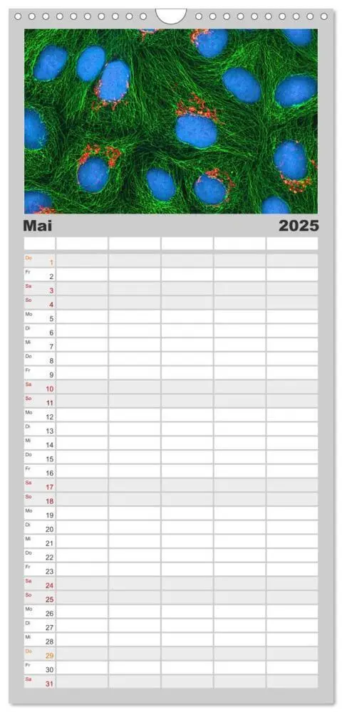 Bild: 9783457119853 | Familienplaner 2025 - Mikrobiologie. Mikroorganismen und Zellen mit...