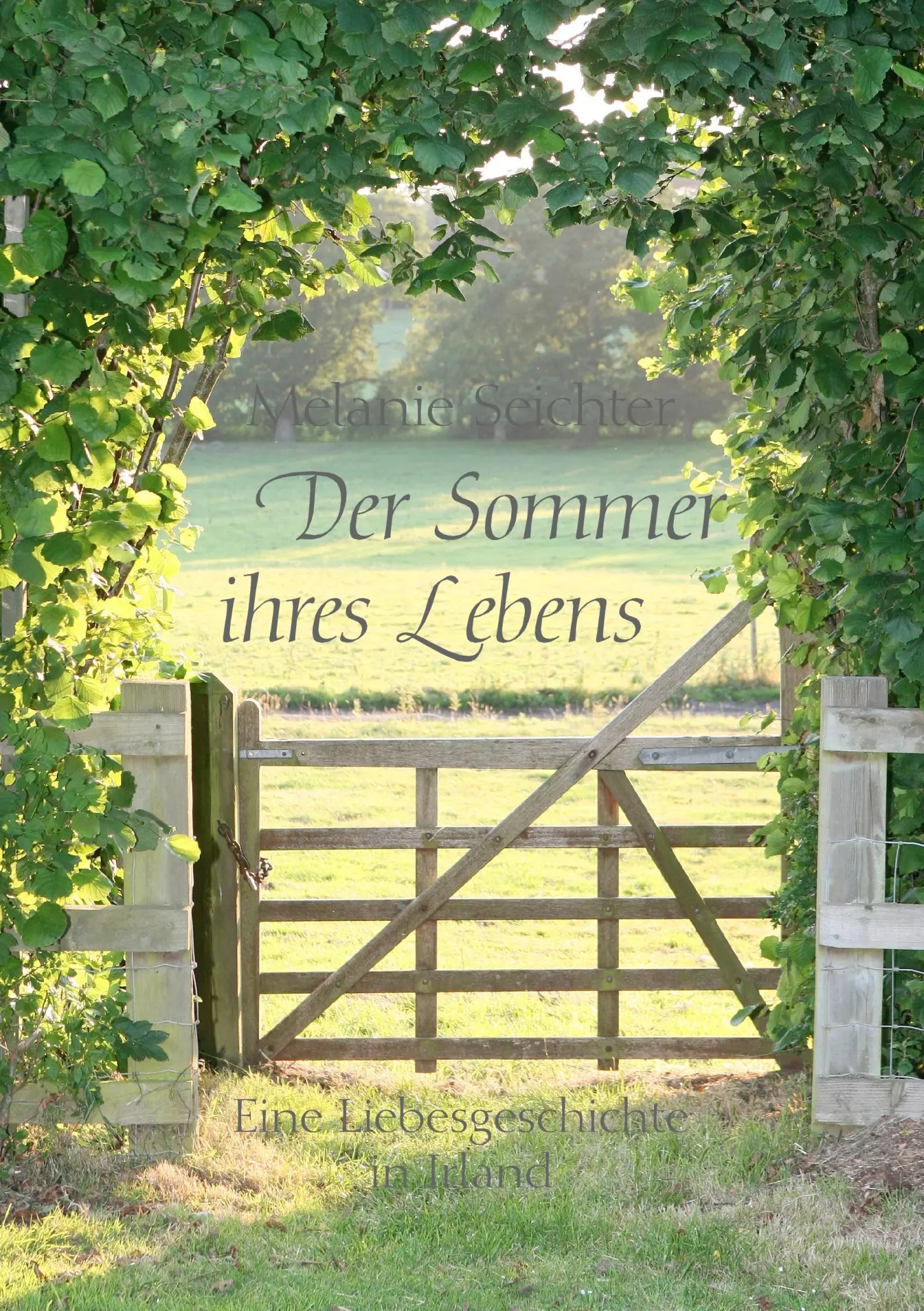 Der Sommer ihres Lebens: Eine Liebesgeschichte in Irland