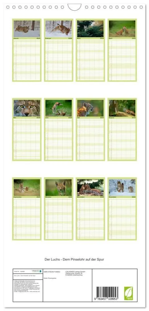 Bild: 9783457109953 | Familienplaner 2025 - Der Luchs - Dem Pinselohr auf der Spur mit 5...