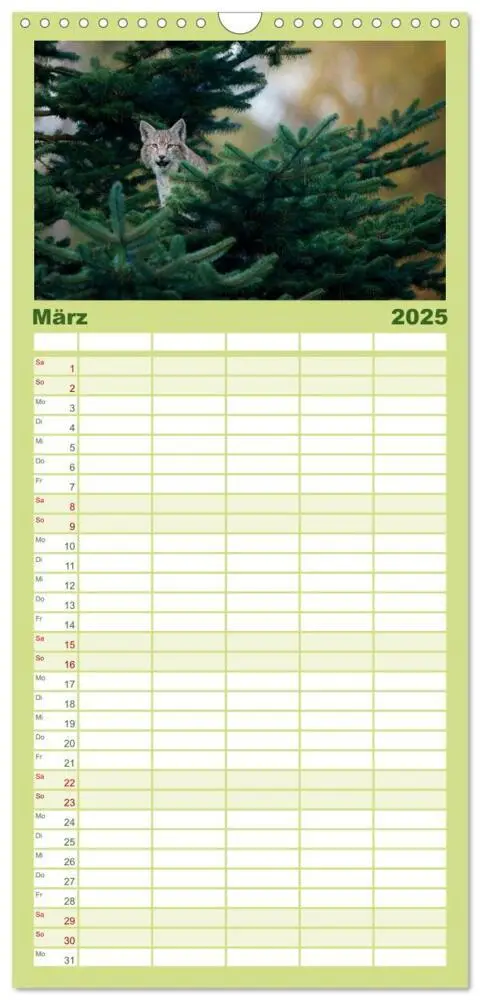 Bild: 9783457109953 | Familienplaner 2025 - Der Luchs - Dem Pinselohr auf der Spur mit 5...