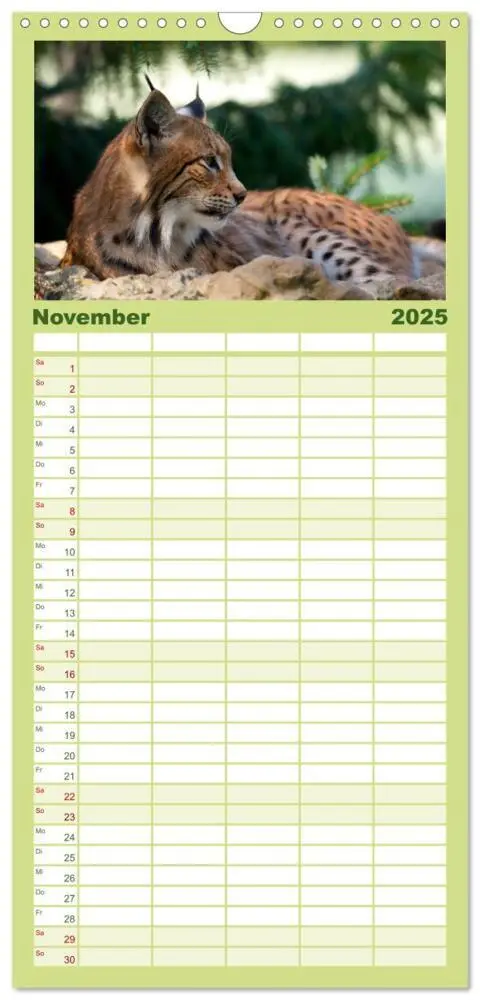 Bild: 9783457109953 | Familienplaner 2025 - Der Luchs - Dem Pinselohr auf der Spur mit 5...