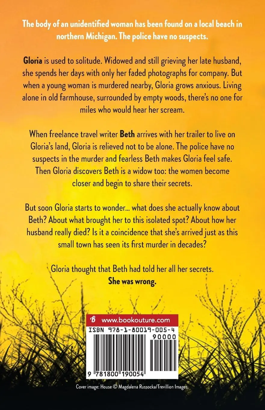 Rückseite: 9781800190054 | Two Widows | A totally gripping mystery and suspense novel | Wolfe