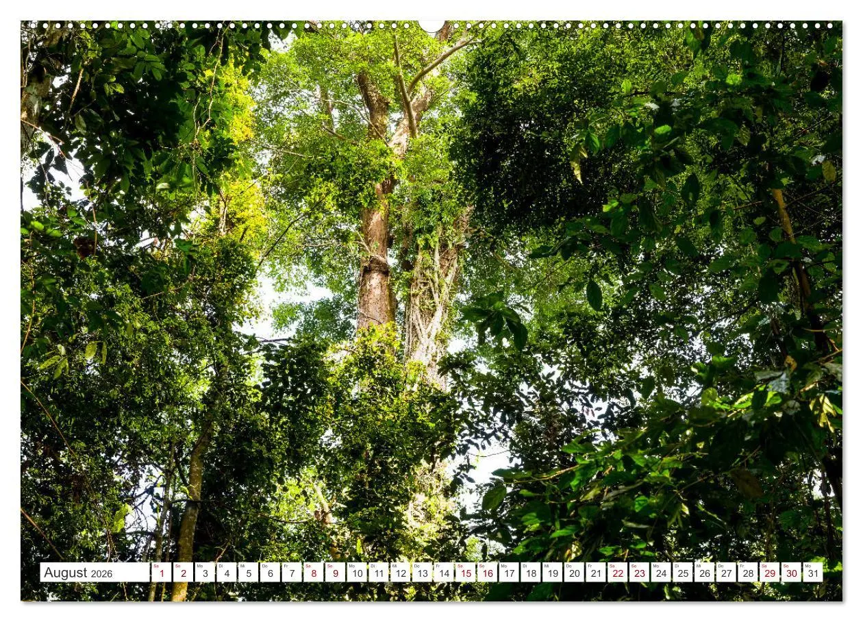 Bild: 9783457390054 | Gunung Leuser Nationalpark Sumatra (hochwertiger Premium...
