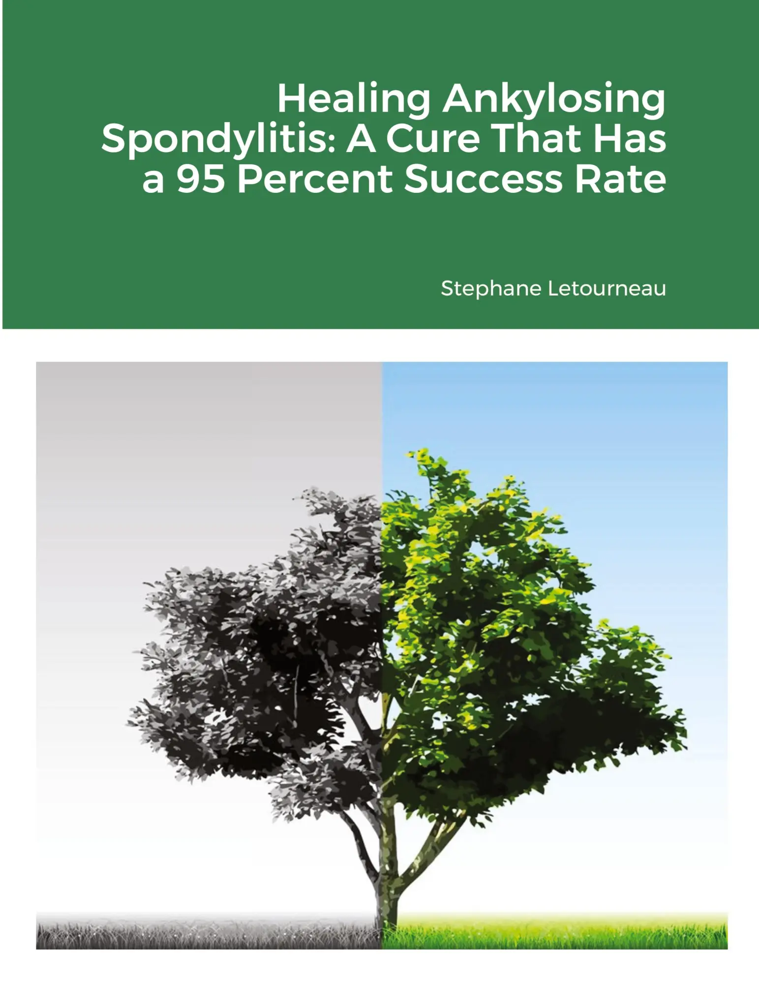 Cover: 9781716270154 | Healing Ankylosing Spondylitis | Stephane Letourneau | Taschenbuch