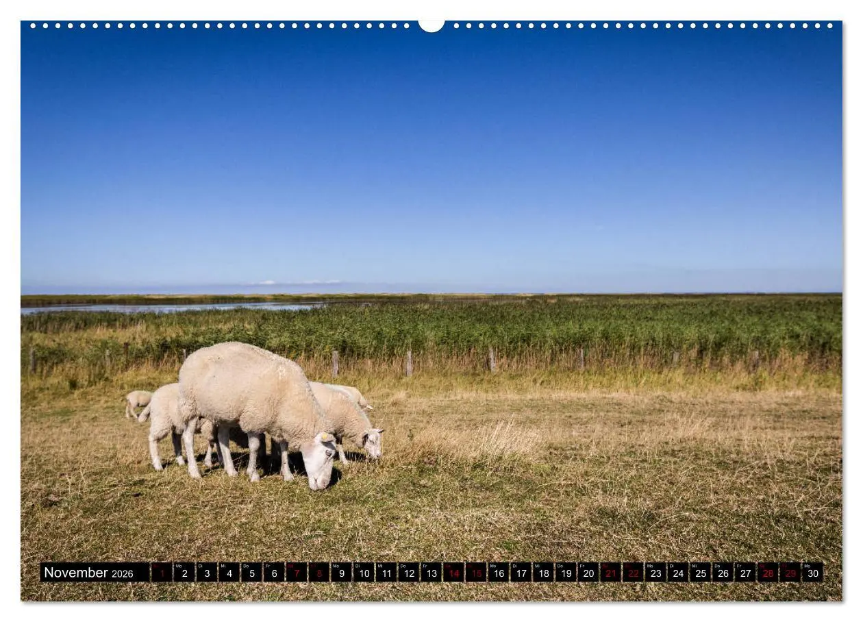 Bild: 9783457760154 | Insel Fehmarn - Impressionen eines Sommertages an der Ostsee...