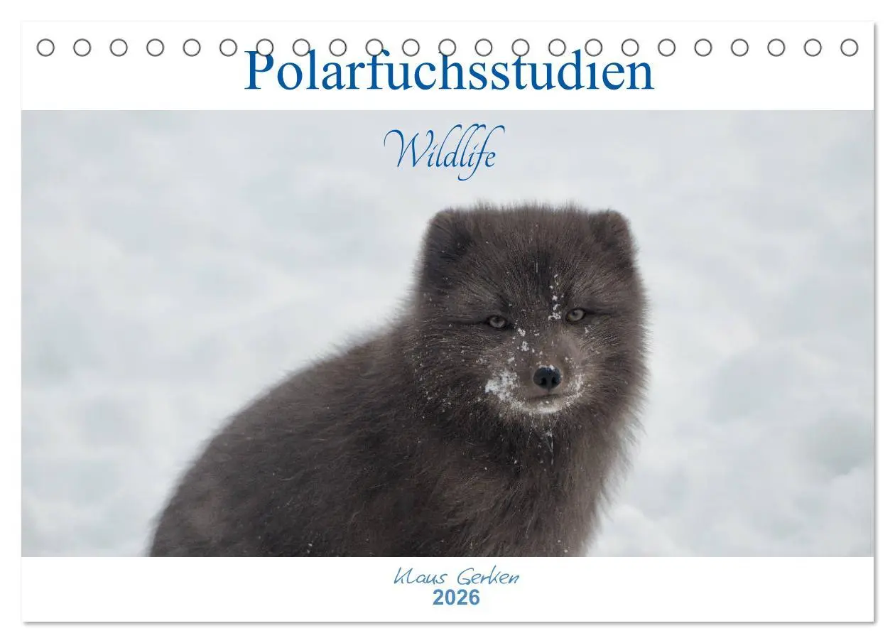 Cover: 9783457900154 | Polarfuchsstudien Wildlife (Tischkalender 2026 DIN A5 quer),...