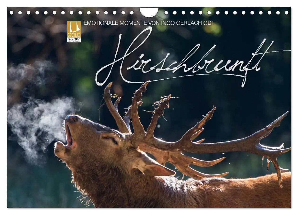 Cover: 9783516230154 | Emotionale Momente: Hirschbrunft (Wandkalender 2026 DIN A4 quer),...