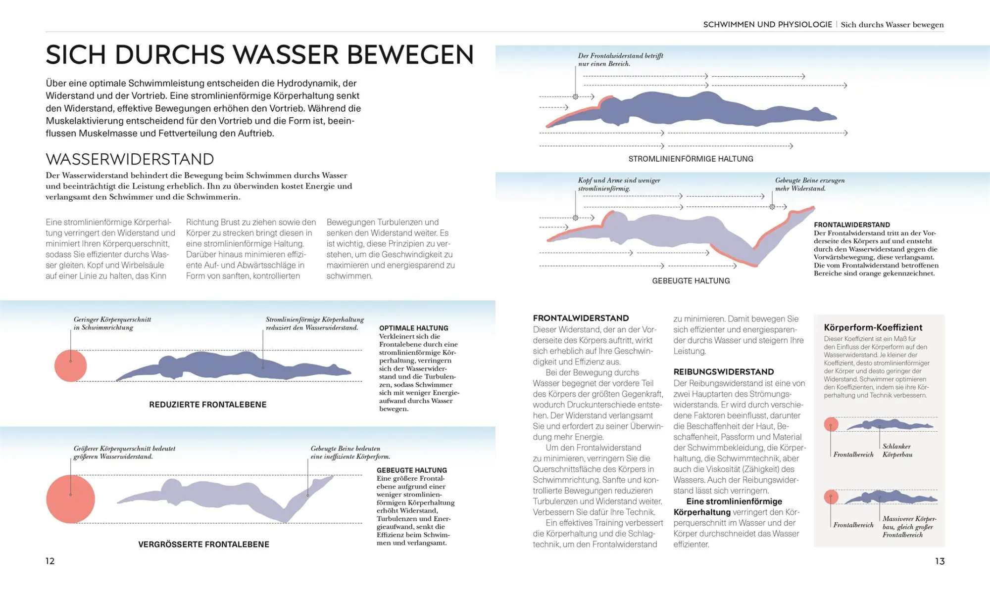 Bild: 9783831050154 | Schwimmen - Die Anatomie verstehen | Brett Hawke | Taschenbuch | 2025