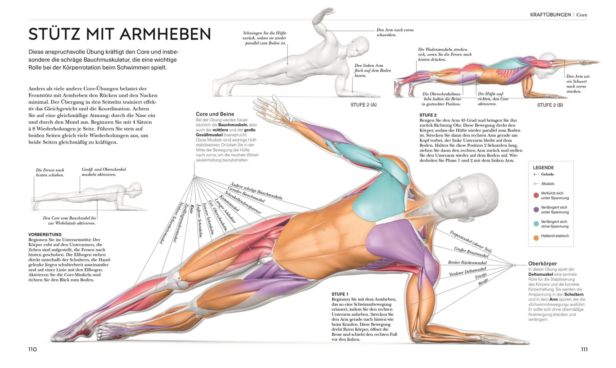 Bild: 9783831050154 | Schwimmen - Die Anatomie verstehen | Brett Hawke | Taschenbuch | 2025