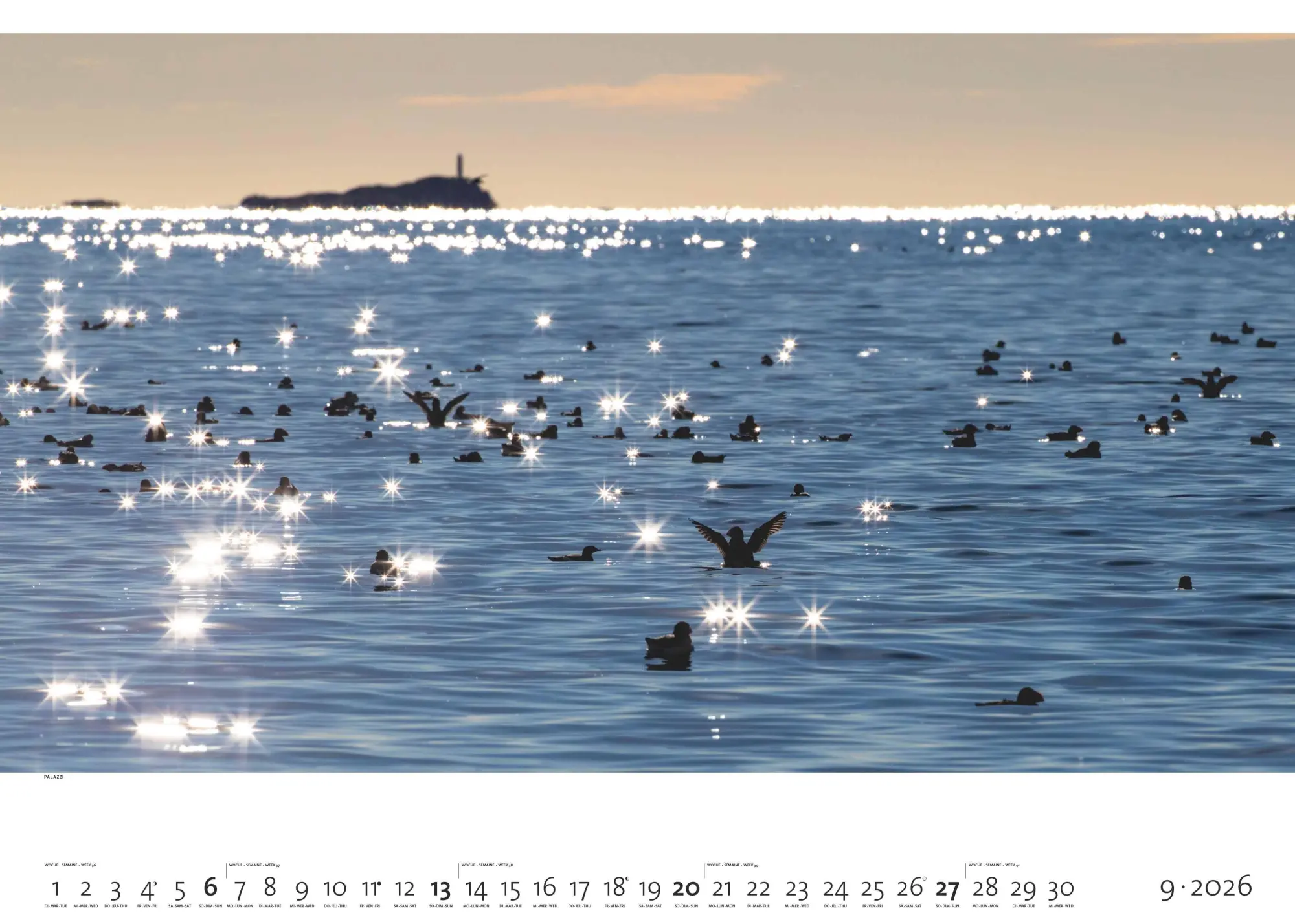 Bild: 4069095000254 | Meer 2026 | Kalender | 14 S. | Deutsch | 2026 | EAN 4069095000254