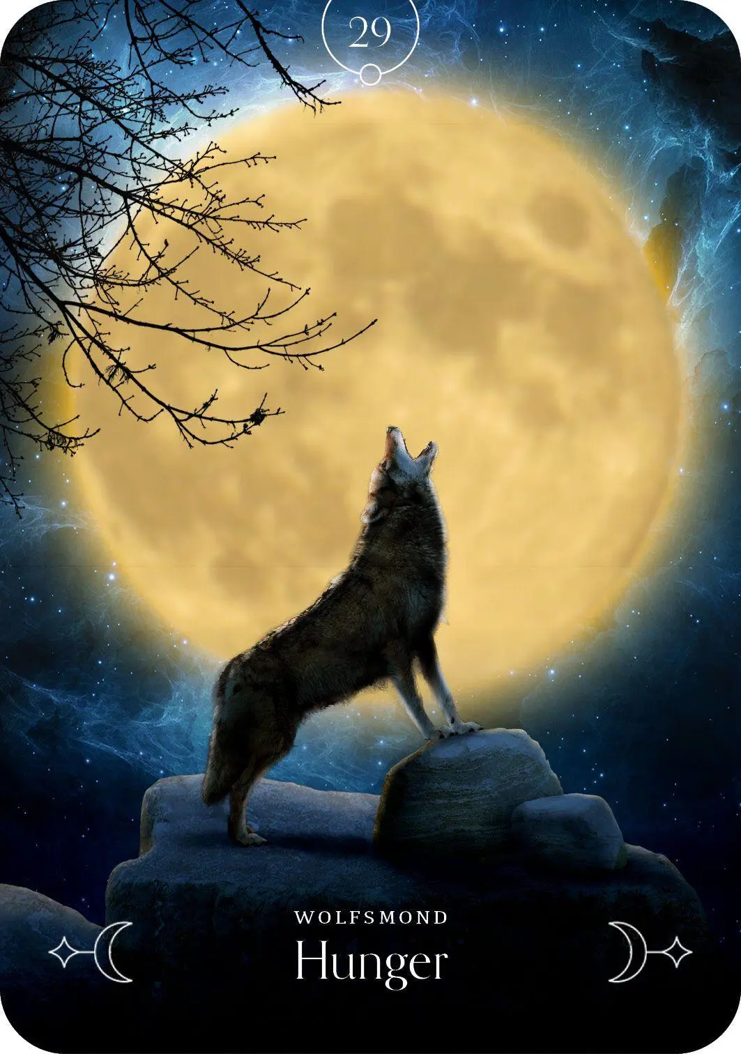 Bild: 4250939900254 | Queen of the Moon Orakel | Stacey Demarco | Box | 112 S. | Deutsch