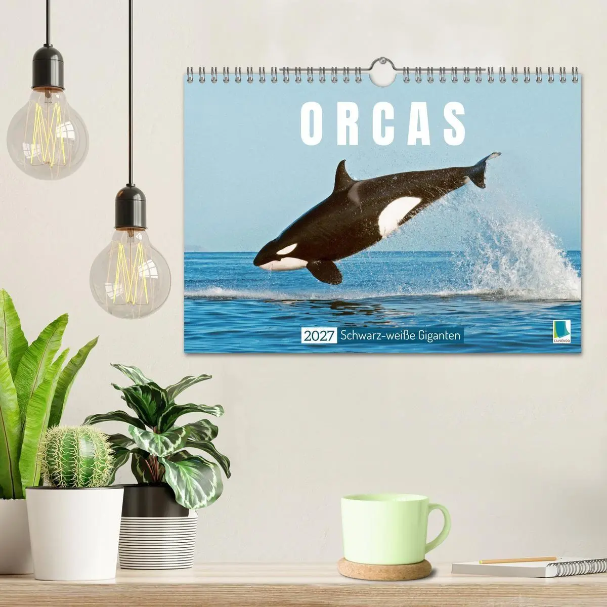 Bild: 9783569240254 | Orcas: Schwarz-weiße Giganten (Wandkalender 2027 DIN A4 quer),...