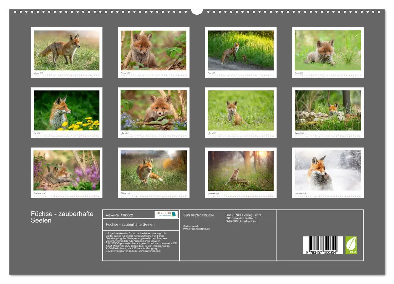 Bild: 9783457500354 | Füchse - zauberhafte Seelen (hochwertiger Premium Wandkalender 2026...