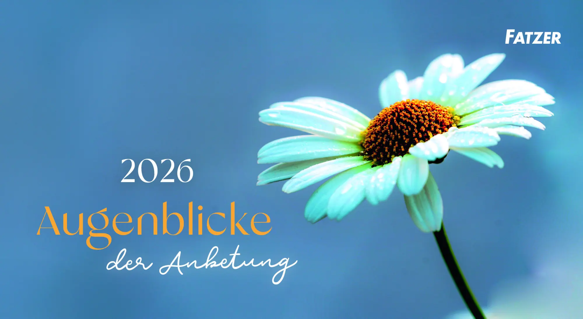 Cover: 9783690220354 | Augenblicke der Anbetung 2026 | Postkartenkalender | Sonstiges | 2026