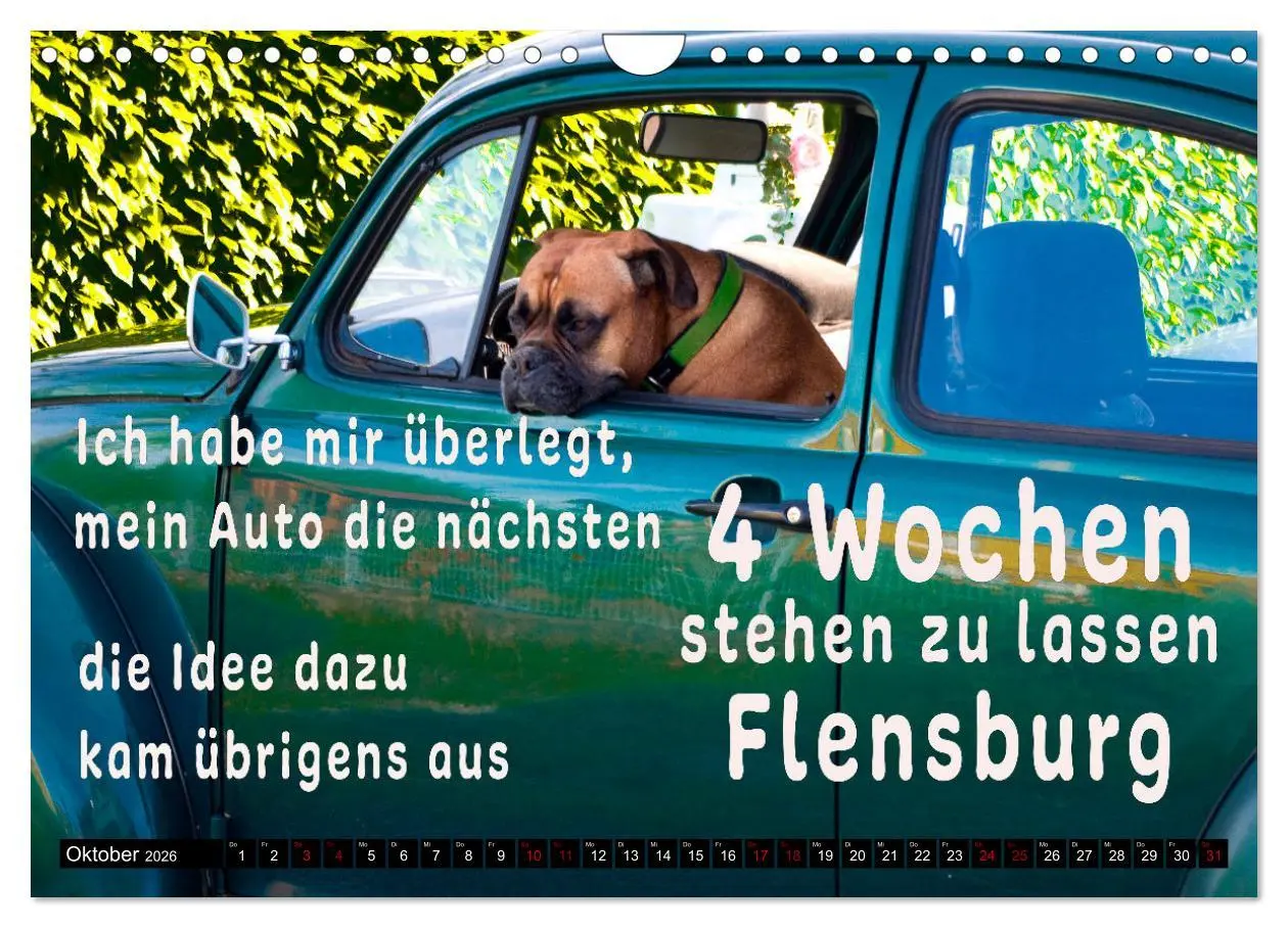 Bild: 9783457650554 | Spruchreif - Gute-Laune-Kalender (Wandkalender 2026 DIN A4 quer),...