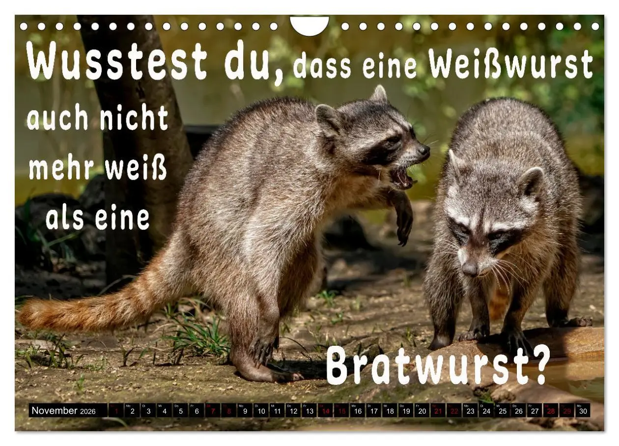 Bild: 9783457650554 | Spruchreif - Gute-Laune-Kalender (Wandkalender 2026 DIN A4 quer),...