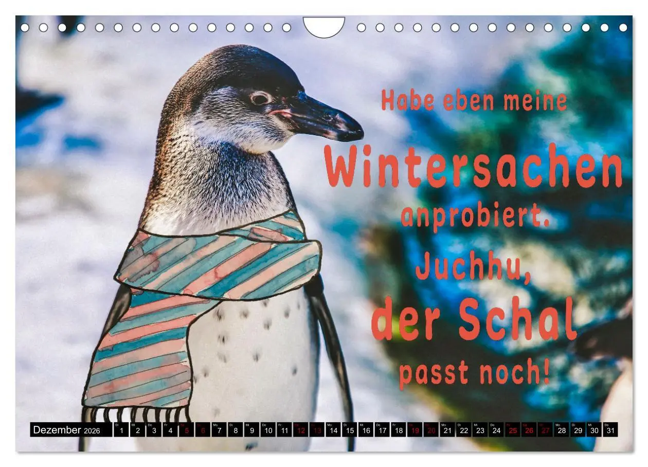 Bild: 9783457650554 | Spruchreif - Gute-Laune-Kalender (Wandkalender 2026 DIN A4 quer),...