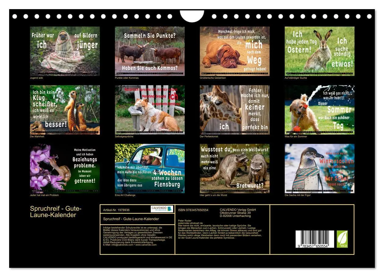 Bild: 9783457650554 | Spruchreif - Gute-Laune-Kalender (Wandkalender 2026 DIN A4 quer),...