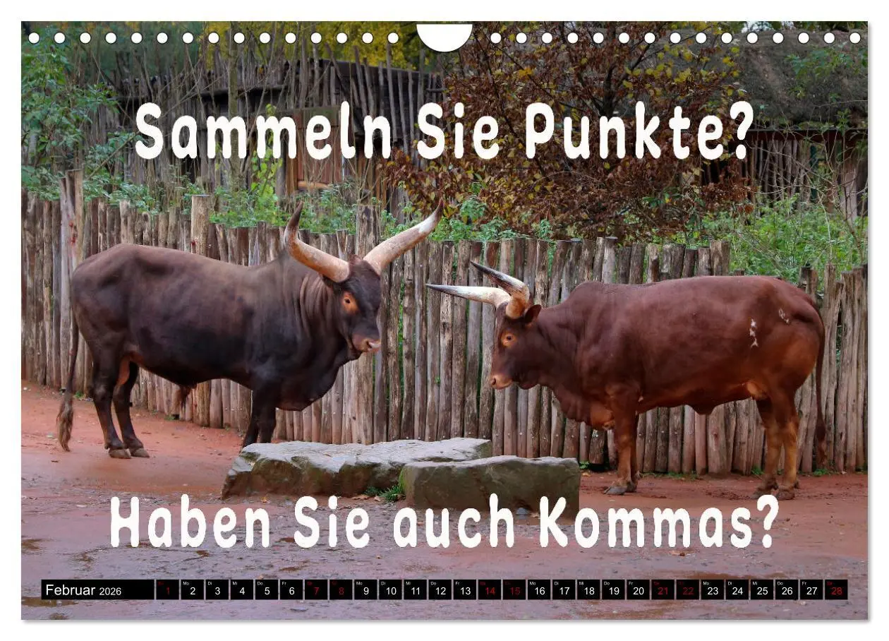 Bild: 9783457650554 | Spruchreif - Gute-Laune-Kalender (Wandkalender 2026 DIN A4 quer),...