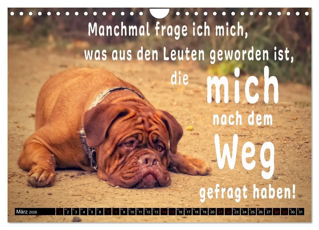 Bild: 9783457650554 | Spruchreif - Gute-Laune-Kalender (Wandkalender 2026 DIN A4 quer),...