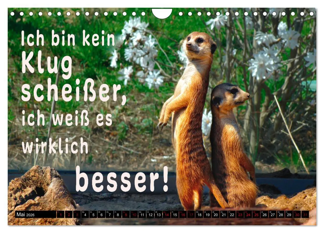 Bild: 9783457650554 | Spruchreif - Gute-Laune-Kalender (Wandkalender 2026 DIN A4 quer),...