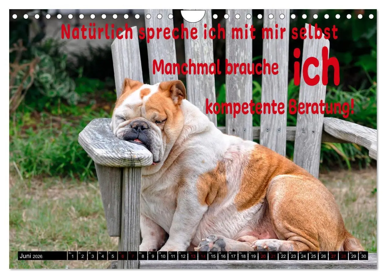 Bild: 9783457650554 | Spruchreif - Gute-Laune-Kalender (Wandkalender 2026 DIN A4 quer),...