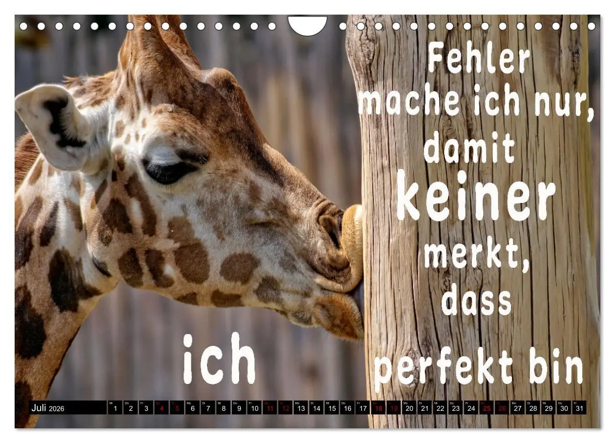 Bild: 9783457650554 | Spruchreif - Gute-Laune-Kalender (Wandkalender 2026 DIN A4 quer),...