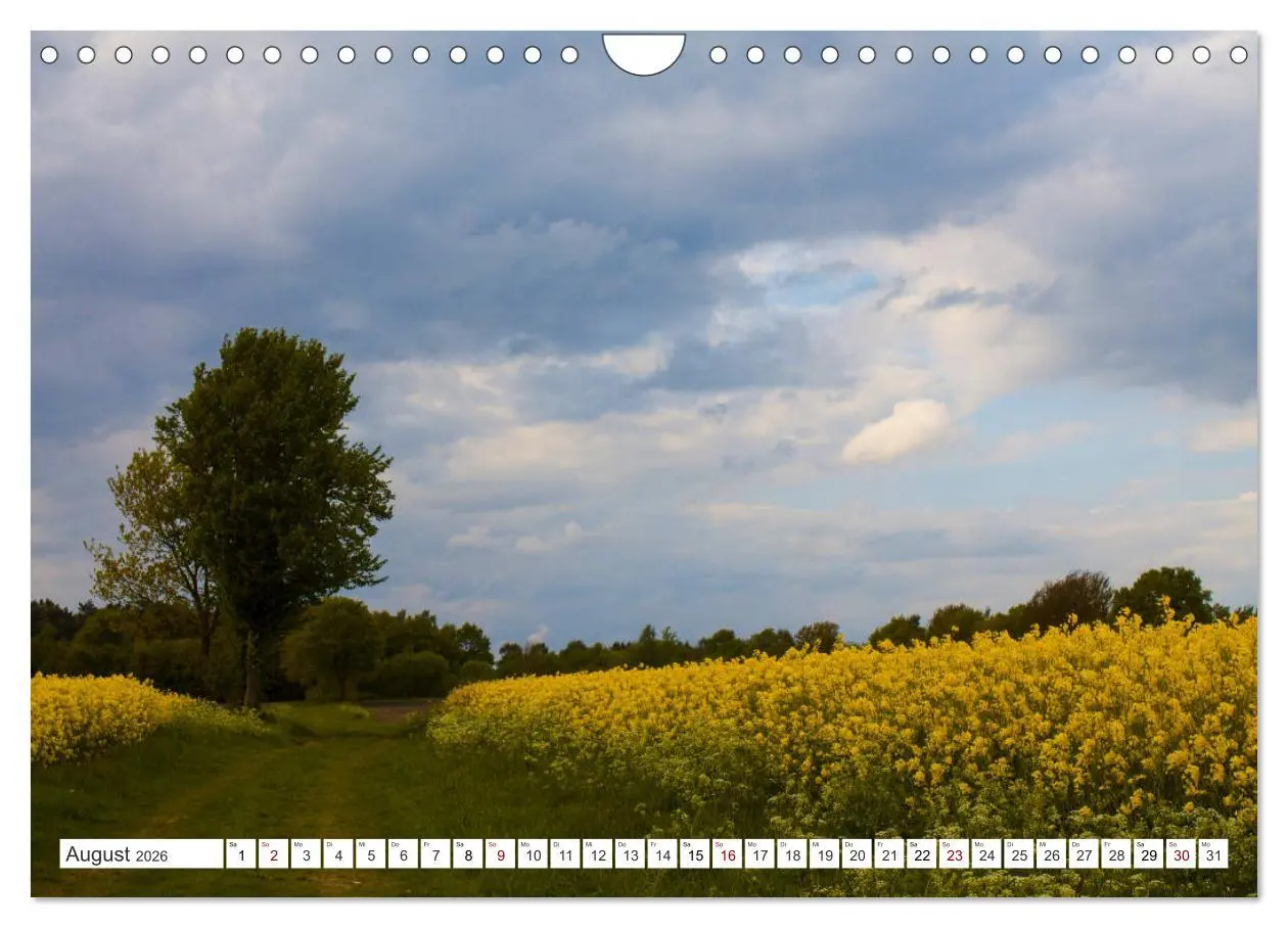 Bild: 9783457890554 | Osterholz-Scharmbeck, Natur-Impressionen aus dem Teufelsmoor...
