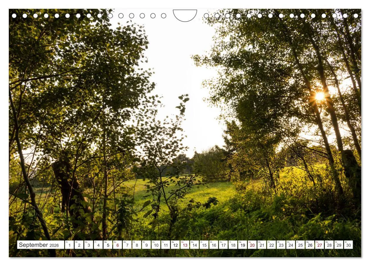 Bild: 9783457890554 | Osterholz-Scharmbeck, Natur-Impressionen aus dem Teufelsmoor...