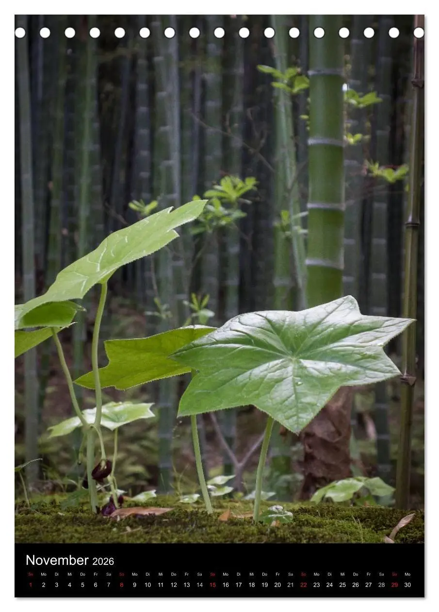 Bild: 9783516430554 | Japan im Blickpunkt (Tischkalender 2026 DIN A5 hoch), CALVENDO...