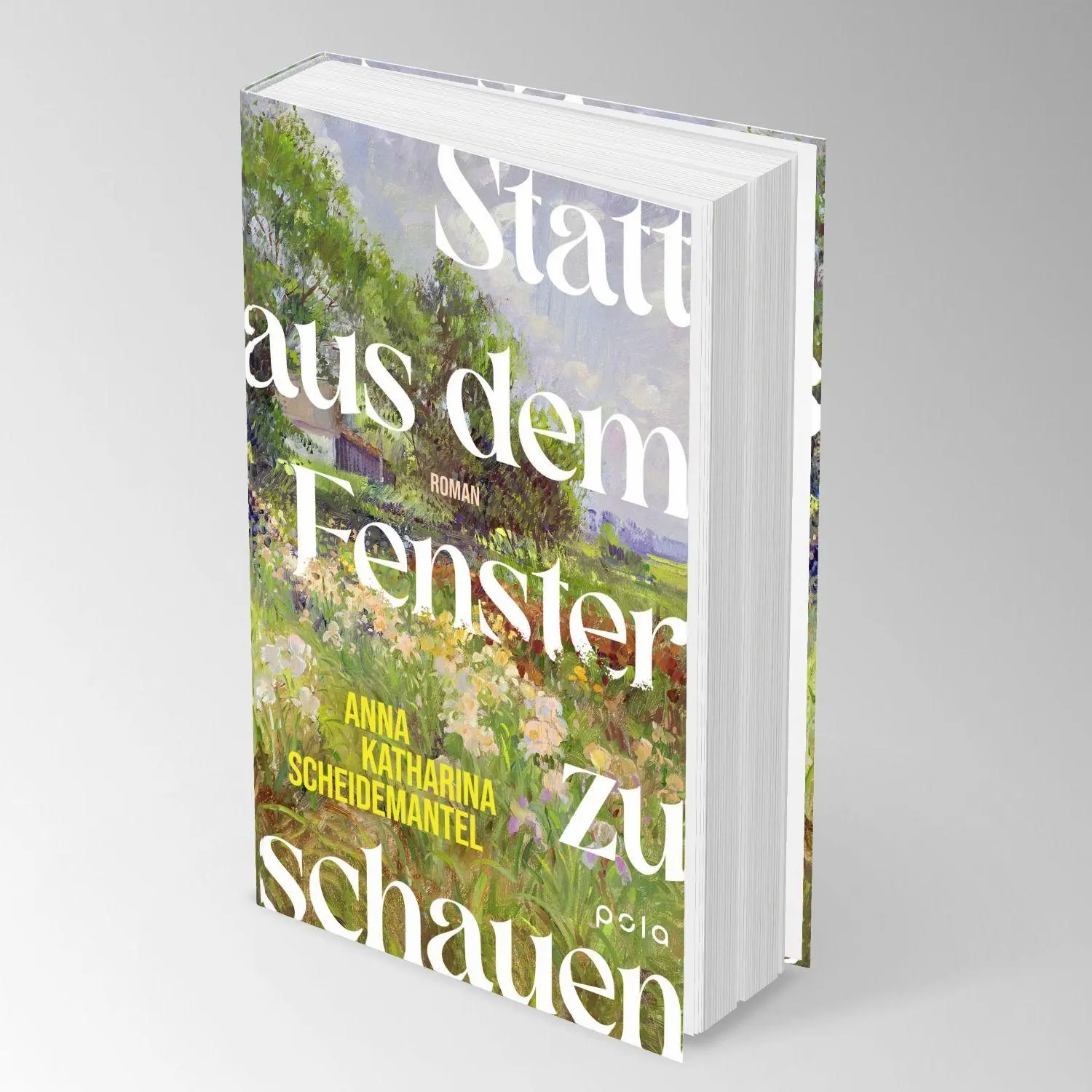 Bild: 9783759600554 | Statt aus dem Fenster zu schauen | Anna Katharina Scheidemantel | Buch
